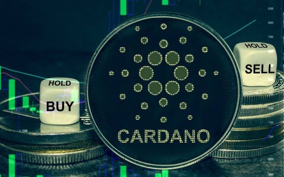 ADA coin là gì? Thông tin mới nhất về đồng Cardano