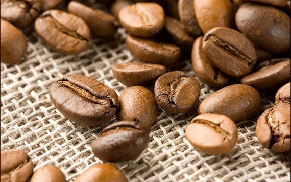 Giá cà phê tiếp đà tăng trên thị trường quốc tế