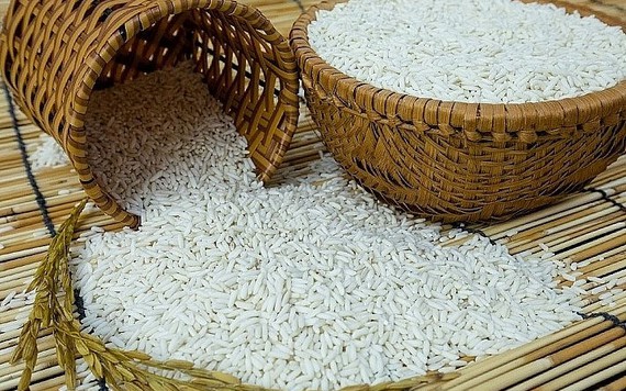Gạo Việt Nam xuất khẩu vào châu Âu có giá bình quân hơn 780 USD/tấn