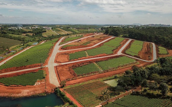 Thủ phủ trà Bảo Lộc bị băm nát bởi các dự án bất động sản