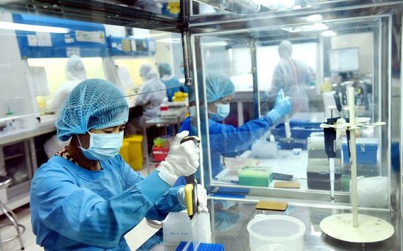 Nanogen xin cấp phép khẩn cấp có điều kiện vaccine phòng COVID-19 đầu tiên của Việt Nam