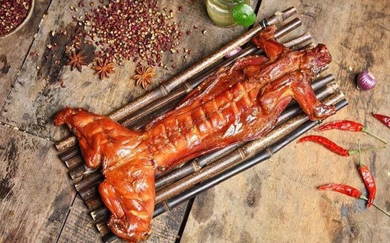 Món ngon mỗi ngày: 20 cách chế biến thịt thỏ ngon, không hôi, dễ làm