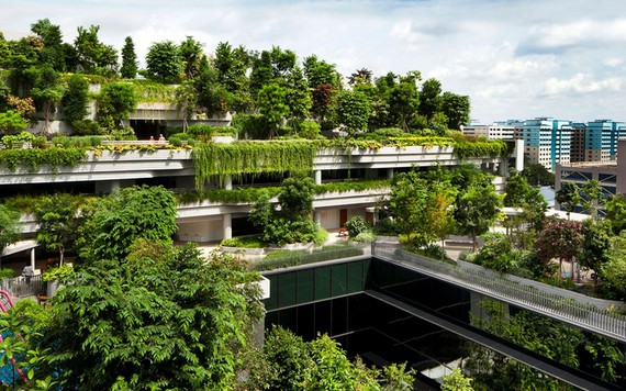 6 tòa nhà xanh ở Singapore được mệnh danh là kỳ quan kiến trúc