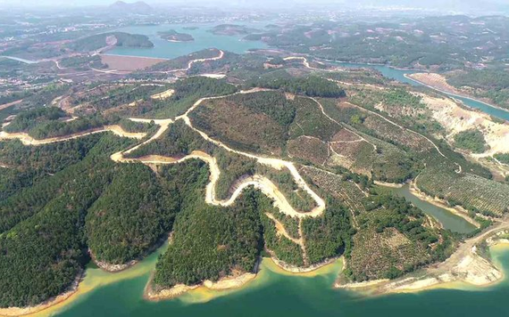 Siêu dự án tỷ đô Sài Gòn - Đại Ninh làm mất 257 ha rừng