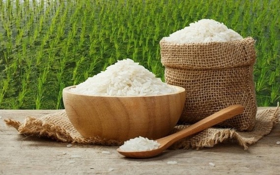 Xuất khẩu gạo tăng mạnh về lượng nhưng giá giảm