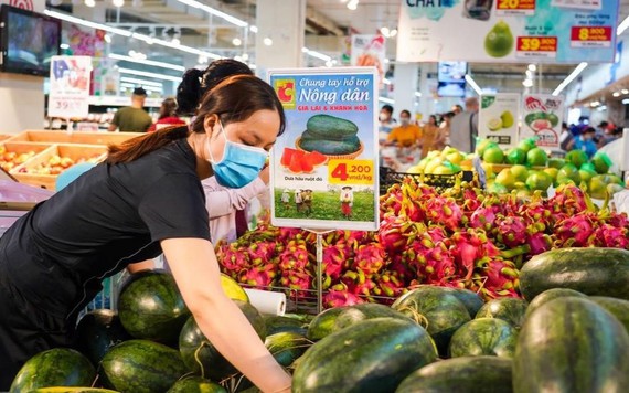 Dưa hấu rớt giá có nơi chỉ còn 2.000 đồng/kg vẫn không có người mua
