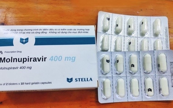 Thuốc điều trị COVID-19 Molnupiravir gây ảnh hưởng đến khả năng sinh sản