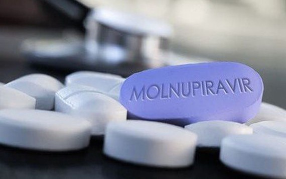 Thật hư tin đồn thuốc Molnupiravir điều trị COVID-19 gây yếu sinh lý?