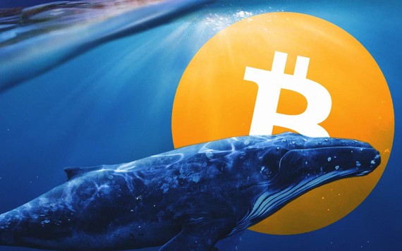 Cá voi ẩn danh đột ngột đóng lệnh bán khống 120 triệu USD khiến giá Bitcoin nhảy vọt