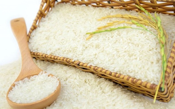 Xuất khẩu gạo tháng 10 tăng cao kỷ lục