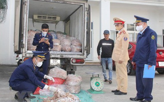 Thanh Hóa: Thu giữ 1,4 tấn bì lợn không rõ nguồn gốc