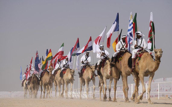 Cuộc thi lạc đà Qatar thu hút du khách bên lề World Cup