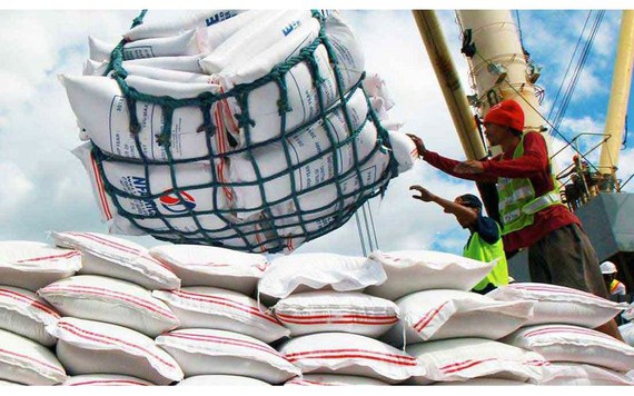 Thị trường nông sản 26/5: Giá gạo trên thị trường thế giới bật tăng