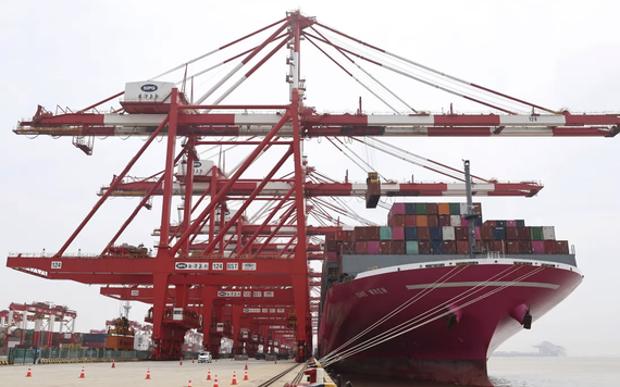 Cảng Thượng Hải chuẩn bị cho lượng hàng tăng đột biến