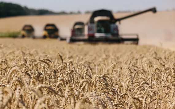 Ukraina và Nga sắp đạt được thỏa thuận về xuất khẩu ngũ cốc