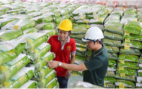 Giá gạo xuất khẩu tăng cao, doanh nghiệp nào hưởng lợi nhiều nhất?
