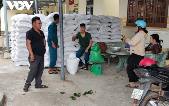 Hỗ trợ hơn 12.000 tấn gạo cho người dân ăn Tết Nguyên đán Quý Mão