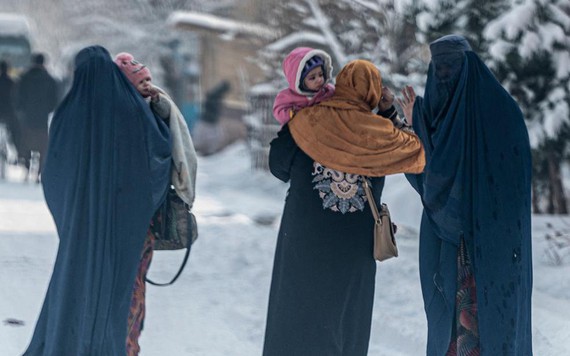 Thảm họa nhân đạo có thể xảy ra khi Taliban cấm phụ nữ làm việc cho NGO

