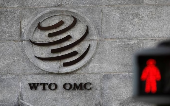 Ấn Độ đề xuất định nghĩa rõ ràng về thương mại điện tử đối với hàng hóa, dịch vụ trong WTO