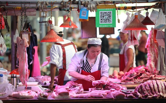 Trung Quốc lại chuẩn bị mua thịt heo dữ trữ để đẩy giá