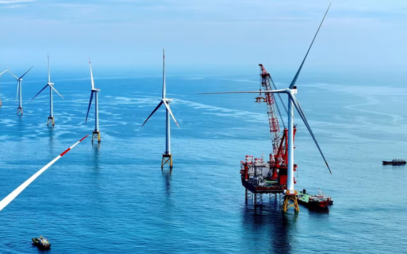 Châu Âu muốn giảm rủi ro từ sự phụ thuộc của Trung Quốc vào năng lượng tái tạo