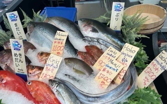 Cá tươi Nhật Bản tràn vào thị trường Thái Lan