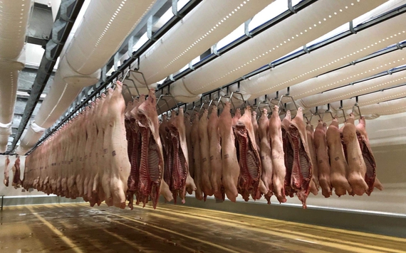 Lào tạm ngừng nhập khẩu thịt lợn từ Việt Nam