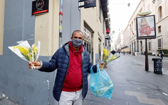 Italy cạn kiệt hoa mimosa cho Ngày Quốc tế Phụ nữ 8/3 vì hạn hán