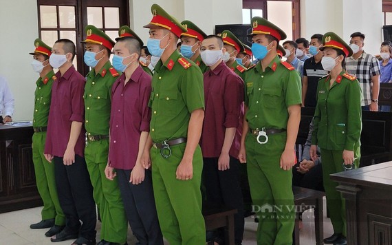 Một luật sư bào chữa vụ Tịnh thất Bồng Lai bị điều tra