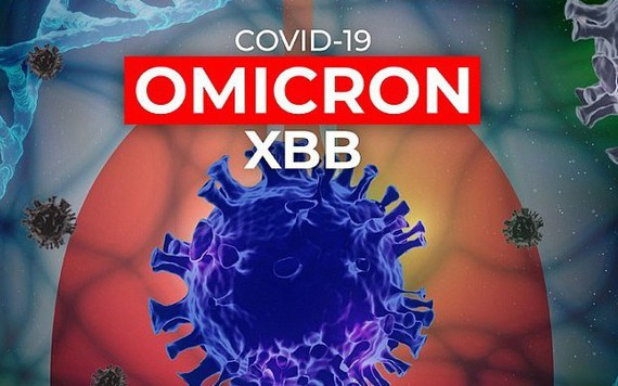 Biến thể phụ mới của Omicron đang thúc đẩy sự gia tăng COVID-19 ở Ấn Độ