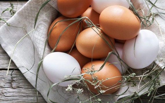 Bối rối sắc màu vỏ quả trứng gà: nâu tốt hay trắng tốt?