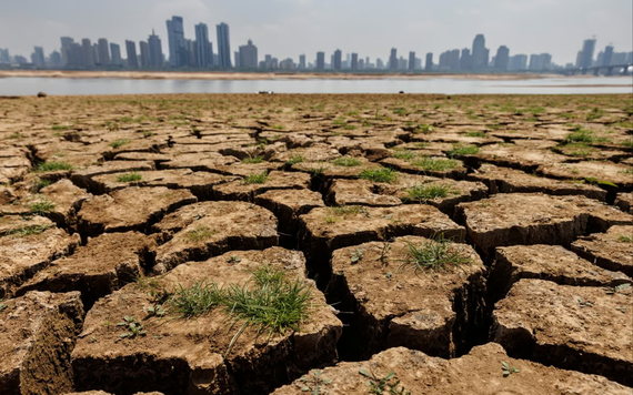 El Nino đang đe dọa nỗ lực đảm bảo an ninh lương thực của Trung Quốc như thế nào?