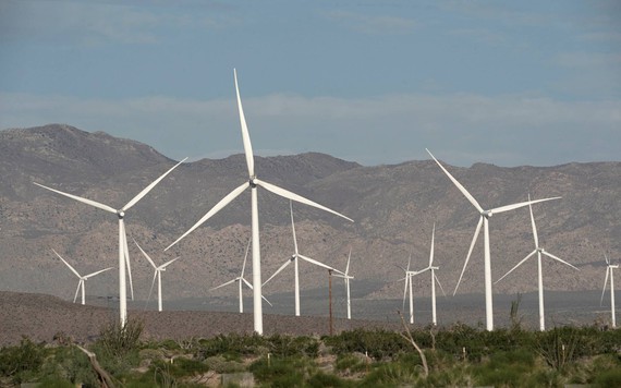 Vì sao ngành công nghiệp điện gió gặp 'sóng gió'