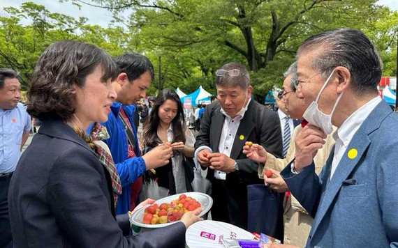 Người Nhật thích thú trải nghiệm, thưởng thức quả vải thiều, nhãn Việt Nam