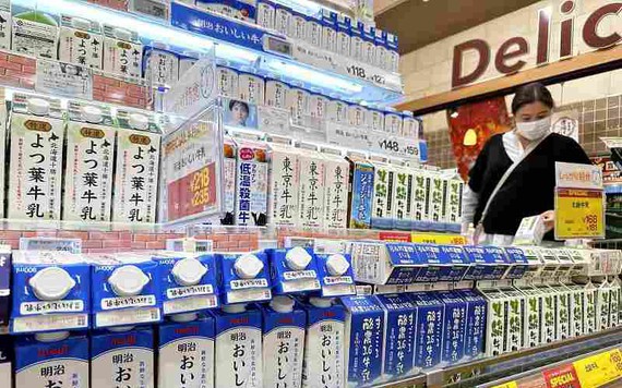 Các công ty sữa Nhật Bản 'trông chờ' vào xuất khẩu khi nhu cầu trong nước giảm