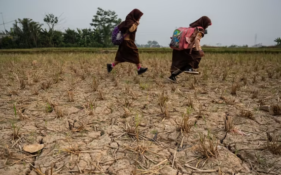 El Nino khiến tình trạng hạn hán, thiếu nước ngày càng khốc liệt tại Indonesia