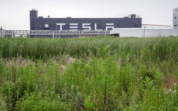 Tesla sa thải công nhân tại nhà máy Trung Quốc