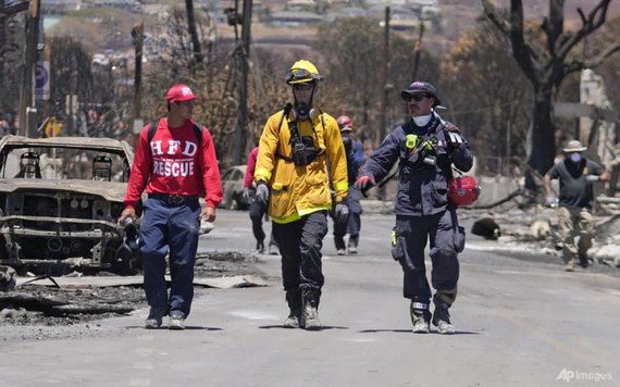 Cháy rừng ở Hawaii, số người chết tăng lên 93, thiệt hại lên tới 6 tỷ USD