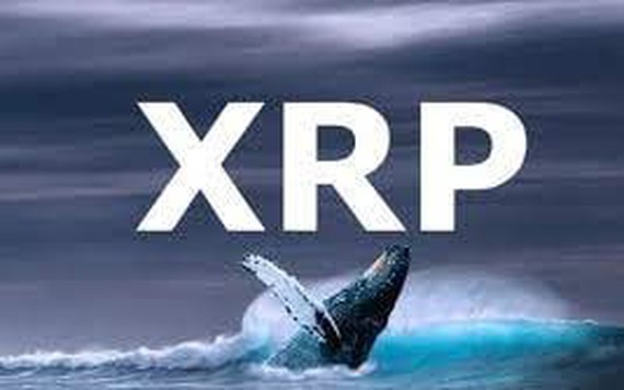 29 triệu XRP được chuyển lên Bitstamp, dấy lên lo ngại sụp giá