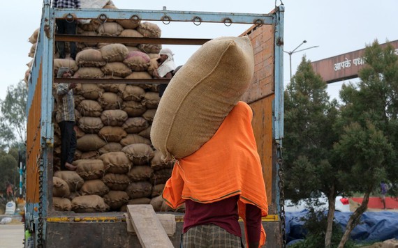 Ấn Độ thắt chặt hơn nữa xuất khẩu gạo, đe dọa nguồn cung toàn cầu