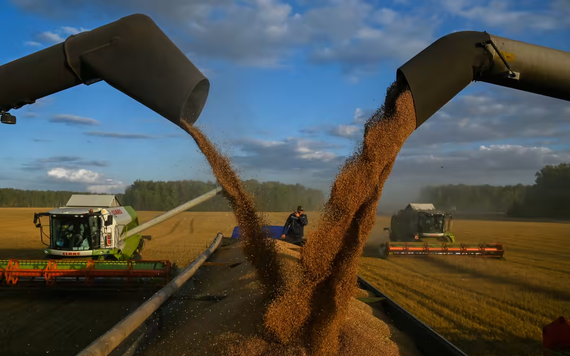 G20 kêu gọi xuất khẩu ngũ cốc Ukraina để giảm lạm phát