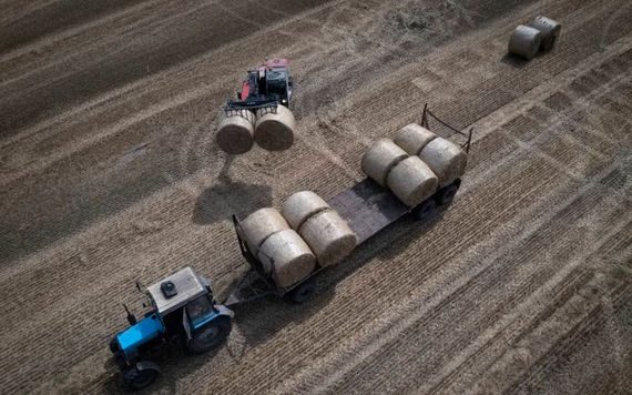 EU dỡ bỏ lệnh cấm ngũ cốc của Ukraina nhưng các nước láng giềng áp đặt hạn chế riêng