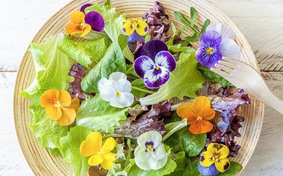 Những loại hoa không chỉ để ngắm mà còn ăn được tốt cho sức khỏe