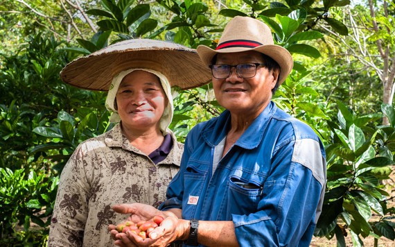 Nông dân Malaysia trồng cà phê để thu hút khách du lịch