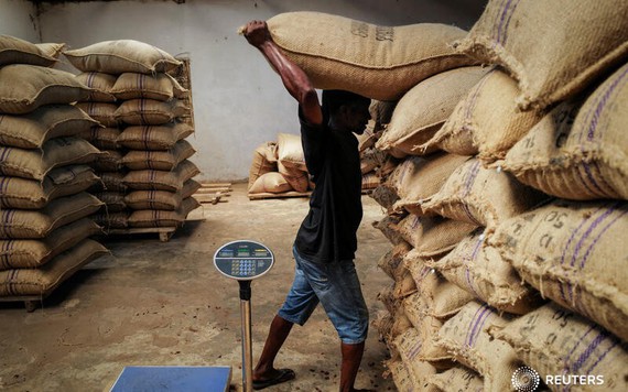 Khủng hoảng ca cao Tây Phi đẩy giá chocolate tăng liên tiếp