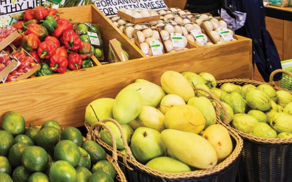 Có nên đầu tư vào thị trường thực phẩm hữu cơ?