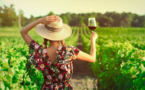 Tại sao người Pháp ngày càng thờ ơ với rượu hơn?