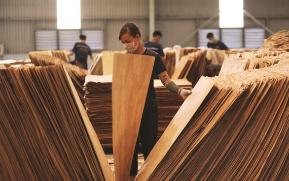 Mỹ tiếp tục gia hạn kết luận chống lẩn tránh thuế phòng vệ tủ gỗ Việt Nam