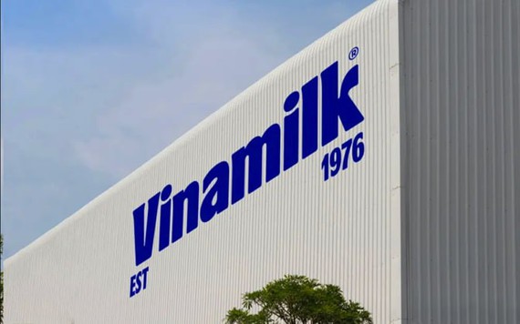 Vinamilk - Doanh nghiệp duy nhất của ngành sữa Việt Nam trong danh sách Fortune 500 Đông Nam Á