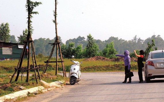 Đấu giá đất sốt sình sịch trước giờ 'G'